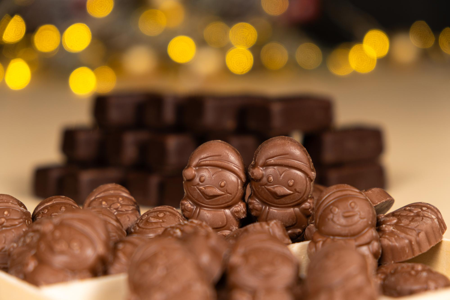 Chocolate Festival